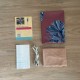 Kit Couture Maillot de Bain Felskinn