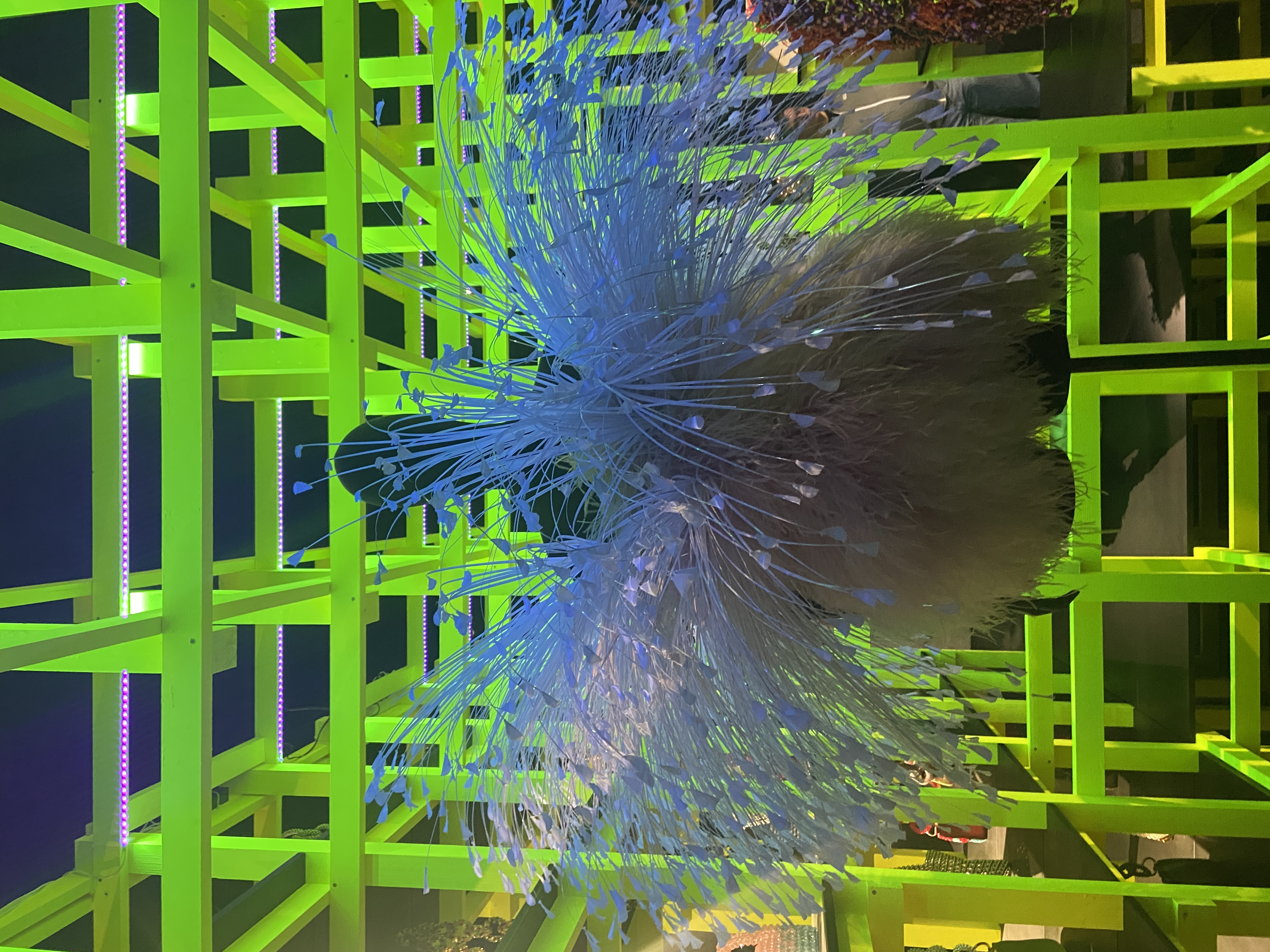 exposition_kevin_germanier_mudac