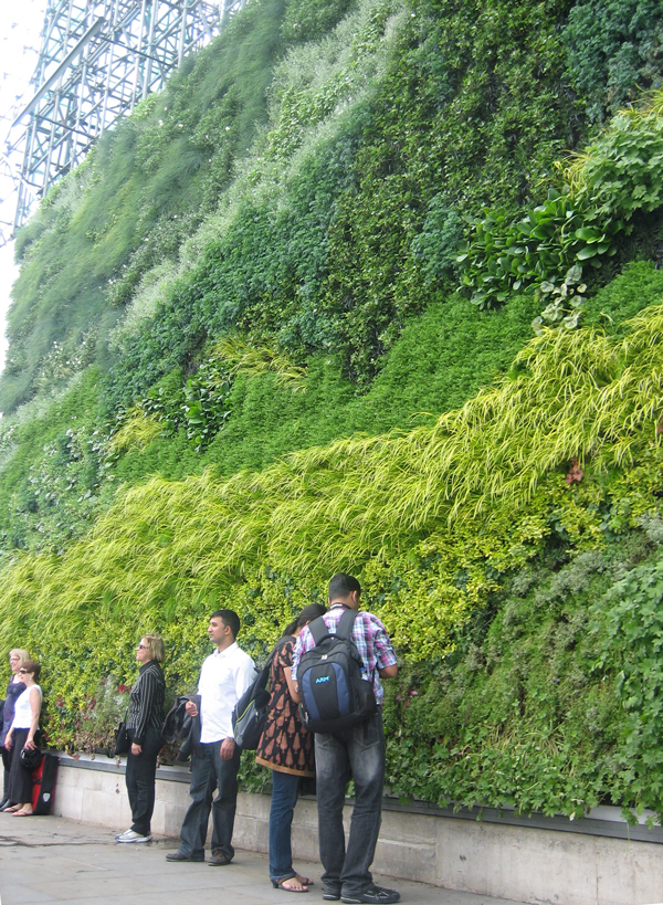 Van Gogh organic living wall in Trafalgar square