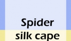 spider silk